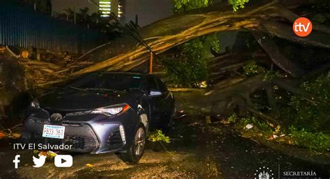 Fuertes Lluvias Causaron Estragos En Diferentes Partes Del País International Tv