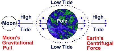 How Can the Moon Affect Tides?