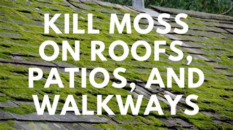 How To Kill Moss On Roofs Patios And Walkways Moss B Ware Youtube