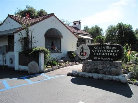 middle village veterinary care group 6