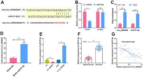 Hsa Circ Modulates Mir P And Pdcd Expression To Restrain