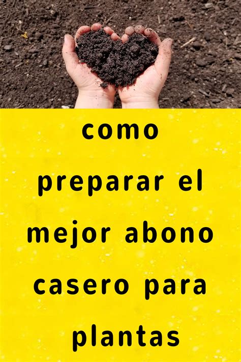 Como Preparar El Mejor Abono Casero Para Plantas En Abono Casero