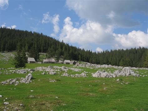 Proiecte Parcul Natural Apuseni