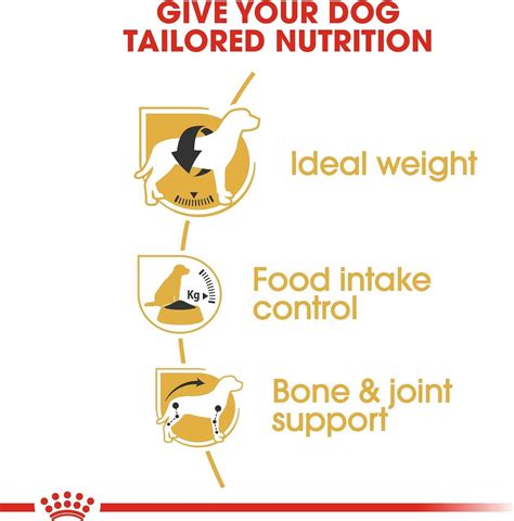 Royal Canin Bhn Beagle Adult 3 Kg Breed Health Nutrition Dog Food, Multicolor, 6656500, Beagle