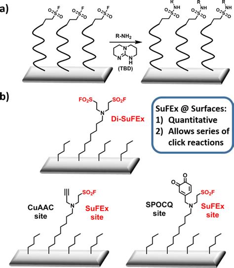 Quantitative And Orthogonal Formation And Reactivity Of SuFEx Platforms