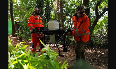 Rio Contar Drone E Intelig Ncia Artificial No Reflorestamento