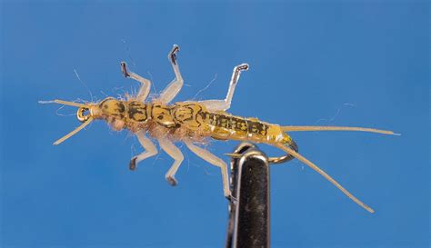 Stonefly Nymph Global Flyfisher