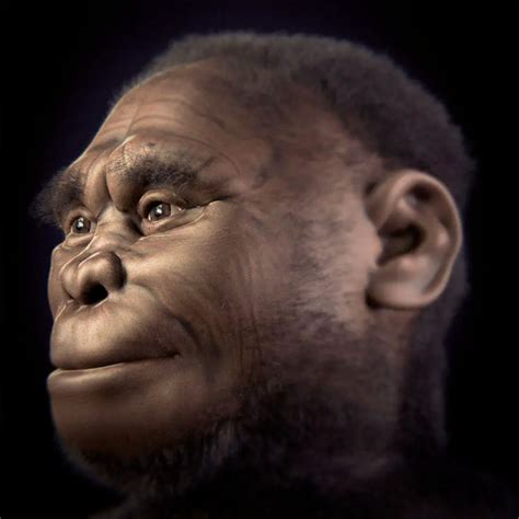 Liang Bua The Cave Of The Mysterious Homo Floresiensis Wondermondo