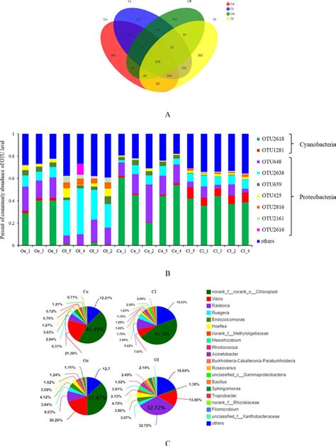 The Community Composition Of Symbiotic Microbiota In Rapana Venosa A Download Scientific