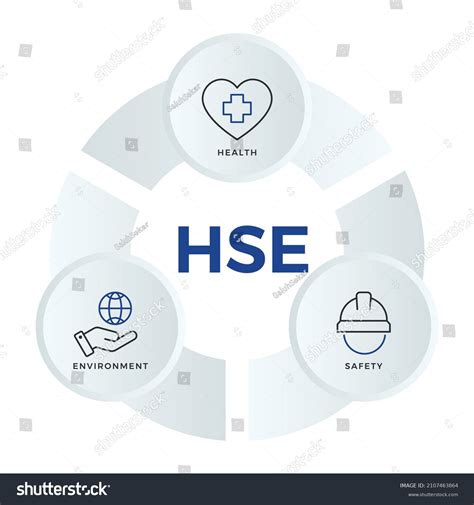 Hse Ilustración De Vectores Infográficos Vector De Stock Libre De