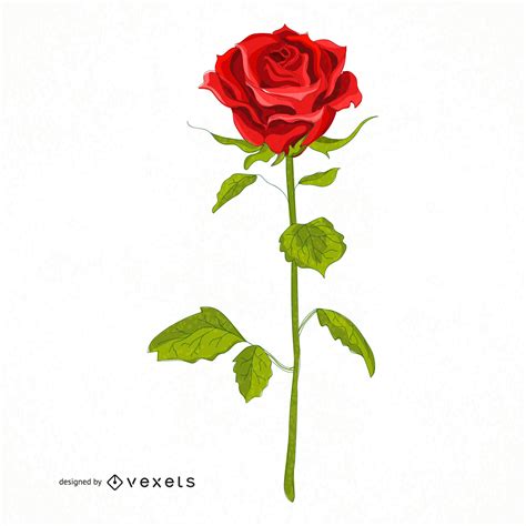 Rose Vector Image at Vectorified.com | Collection of Rose Vector Image ...