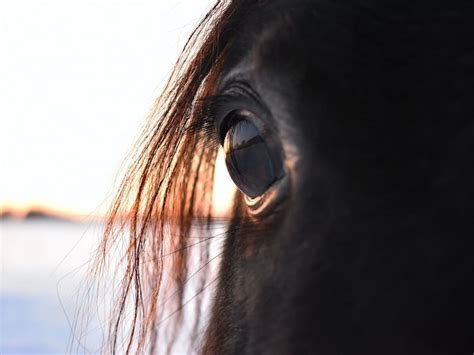 Sonhar Com Carro Vermelho Números Da Sorte