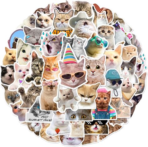 Amazon Pcs Cute Cat Stickers Aesthetic Cat Waterproof Vinyl