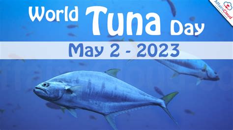 World Tuna Day May