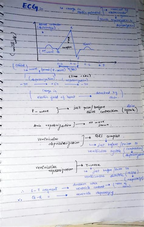 SOLUTION: Notes on ecg cardiac cycle - Studypool