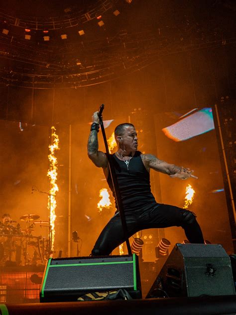 Guide to Arena Seats with Backs at Rupp Arena 20