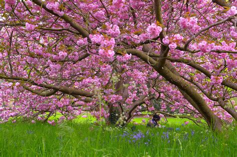 Spring Equinox 2019 What Is The Vernal Equinox And When Was The First