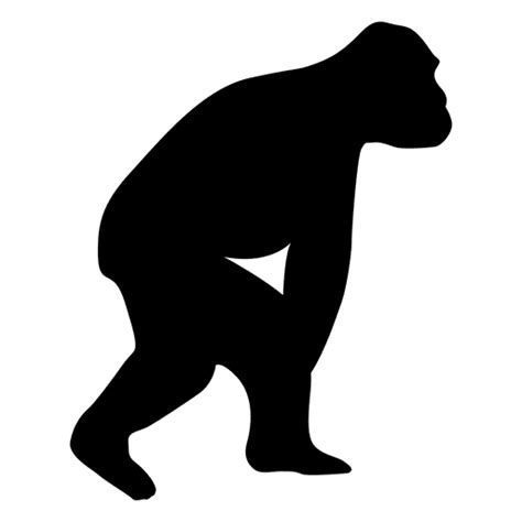 Dise O Png Y Svg De Evoluci N Humana Para Camisetas