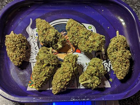 25 Hour Farms Biscotti (review in comments) : r/hempflowers