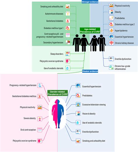 Prevention Of Cardiovascular Disease In Young Adults Focus On Gender