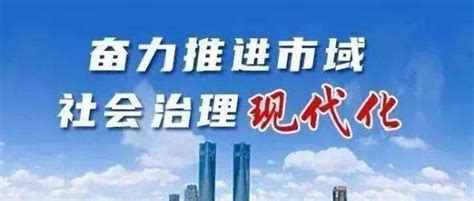 防范化解市域社会治安风险，努力保障人民安居乐业、社会安定有序 治理 管理 重点