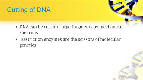 Recombinant Dna Technology Ppt