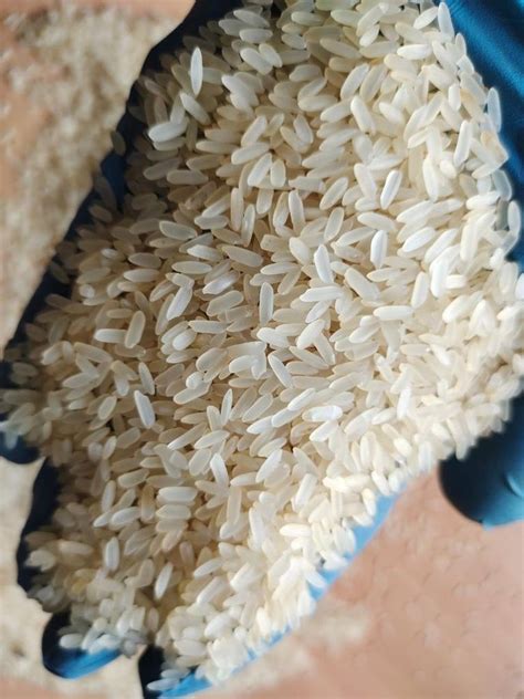 Ir Parboiled Rice Packaging Type Pp Bag At Rs Kilogram In Pune