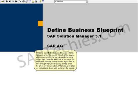 Define Business Blueprint Sap Solution Manager 31