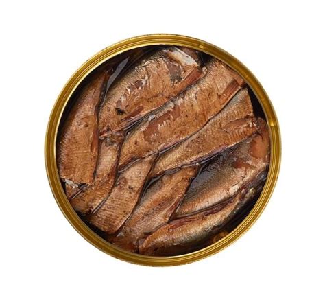 Sardinha Em Conserva Brasil Receitas