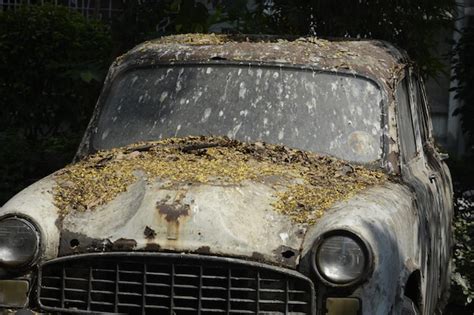 premium photo close   rusty car