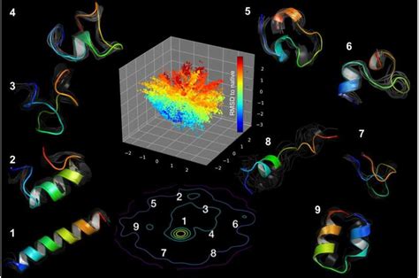 Modified Deep Learning Algorithms Unveil Features Of Shape Shifting