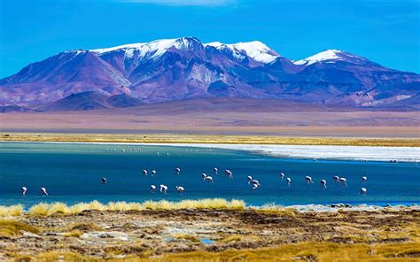 Atacama E Salar De Uyuni - Atacama e Salar de Uyuni | Saiba tudo sobre viagens | Blog CVC