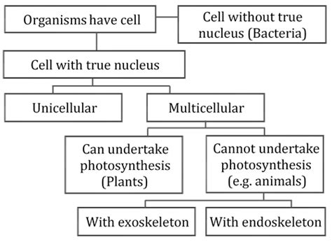 Heredity And Evolution Class Cbse Web Notes Part