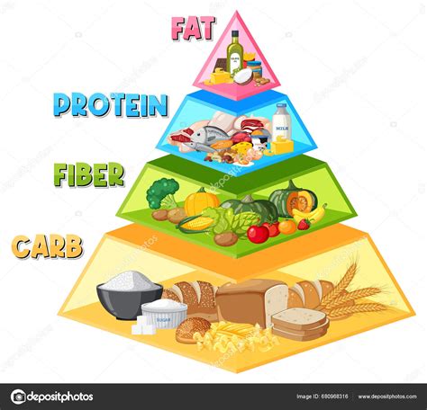 Infográfico Ilustrado Que Descreve Uma Pirâmide Alimentar Desenhos