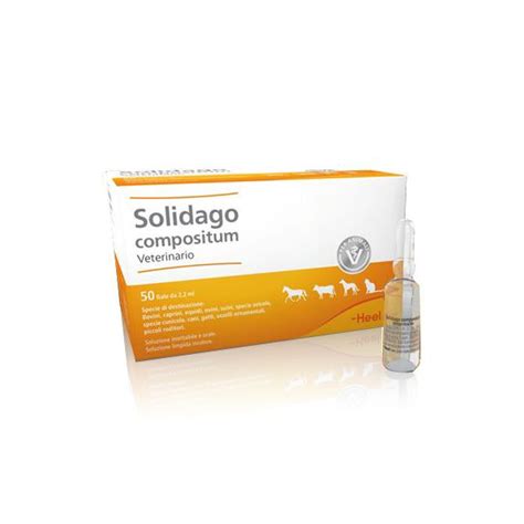 HEEL Solidago Compositum Uso VETERINARIO 50 Fiale