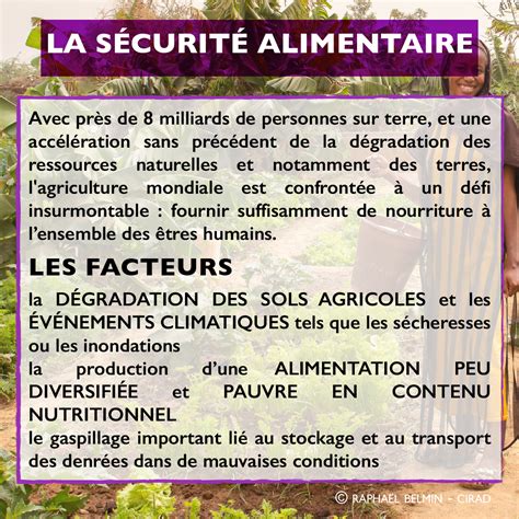 S Curit Alimentaire Et Agro Cologie D Sertif Actions