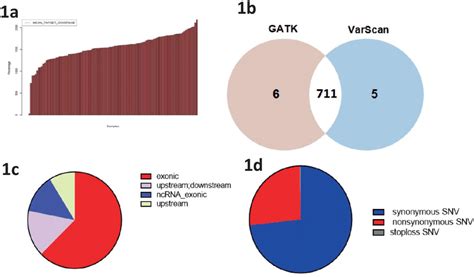 The results of whole mitochondrial genome sequencing. a The average ...