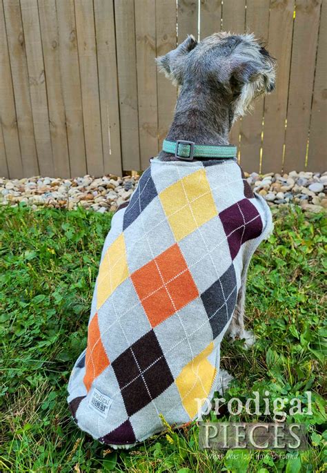 DIY Dog Coat from Upcycled Sweaters - Prodigal Pieces