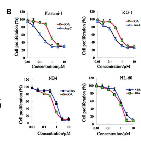 JOA Inhibited Cell Proliferation Of Kasumi 1 KG 1 MUTZ 8 NB4 HL 60