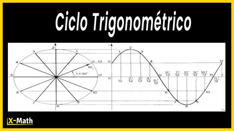 Função Seno E Ciclo Trigonométrico E Suas Relações Trigonométricas