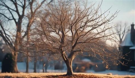 Prime Time Tree Pruning Secrets Treeguy