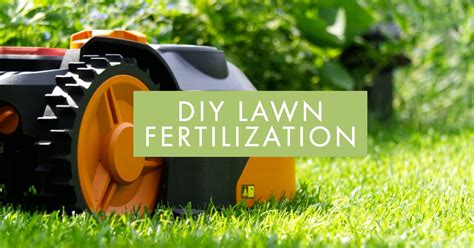 The Diy Guide To Lawn Fertilization In Florida Home Improvement Cents