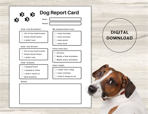 Pet Report Card Printable For Pet Sitter Business Dog Report Etsy Uk