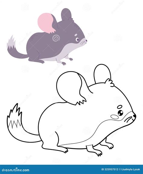 chinchilla drawing 2