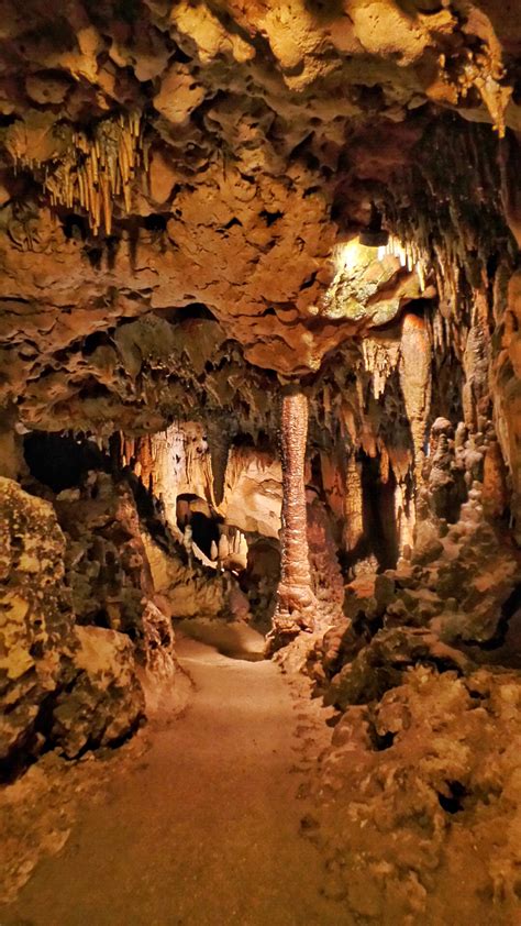 Florida Has Old Stuff Too Florida Caverns State Park My Little Life