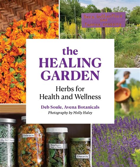 The Healing Garden Herbal Plants For Health And Wellness Avaxhome