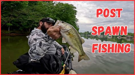 Post Spawn Bass Fishing Lake Chickamauga Bass Manager The Best