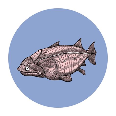 Do Not Believe Me - Illustration art — Alexander Augustus