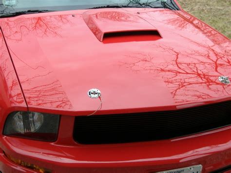 Hood Pins - The Mustang Source - Ford Mustang Forums