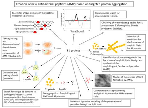 Ijms Special Issue Creation Of New Antimicrobial Peptides